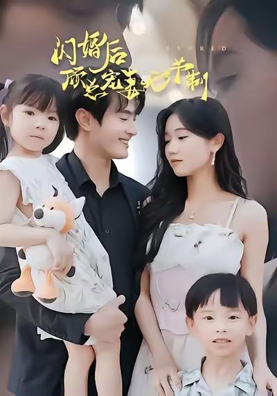 闪婚后顾总宠妻无节制