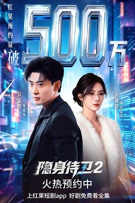 隐身侍卫2